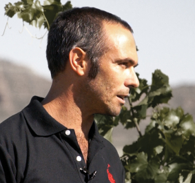 Mann im schwarzen Polohemd vor grünen Blättern und verschwommenem Bergpanorama.