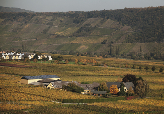 Nik Weis St. Urbans Hof Credits Peter Kunz