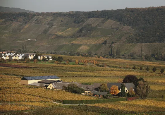 Nik Weis St. Urbans Hof Credits Peter Kunz