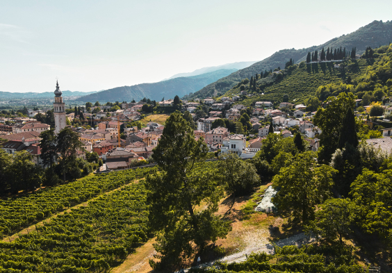 Nino Franco 2022 Lage