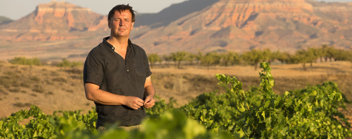 Person im Weinberg mit Bergen im Hintergrund bei Sonnenuntergang.