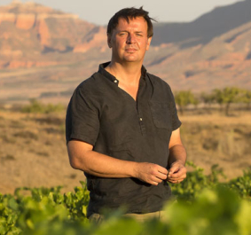 Person im Weinberg mit Bergen im Hintergrund bei Sonnenuntergang.