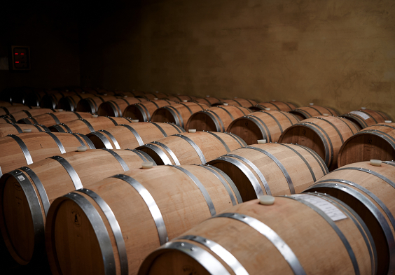 Parusso 2022 Faesser (2)