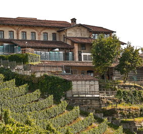 Charmantes Weingut auf einem Hügel mit üppigen Weinbergen und mediterranen Gebäuden.