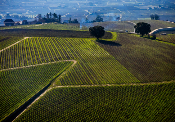 Pavie Macquin Drone view winter OneWineProduction