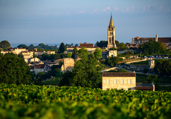 Pavie Macquin View on St Emilion OneWineProduction