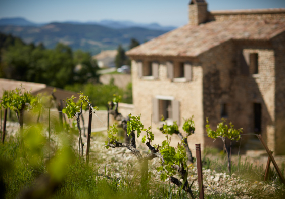 Perrin Vinsobres picture 044 © Serge Chapuis