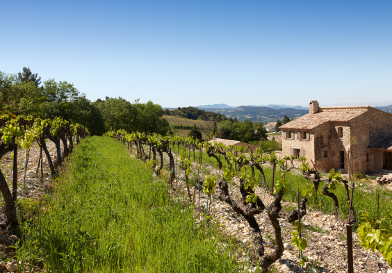 Perrin Vinsobres picture 053 © Serge Chapuis