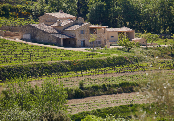 Perrin Vinsobres picture 055 © Serge Chapuis