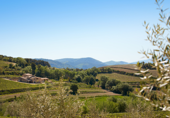 Perrin Vinsobres picture 066 © Serge Chapuis