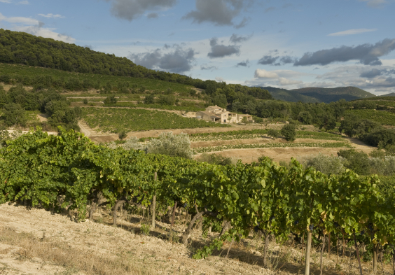 Perrin Vinsobres picture VCW7323 © Serge Chapuis