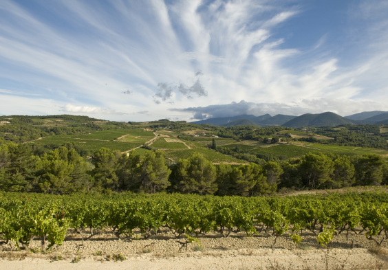 Perrin Vinsobres picture VCW7378 © Serge Chapuis