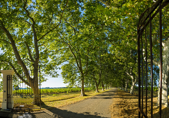 Perrin picture Cuverie Grand Prebois ©Philippe Martineau