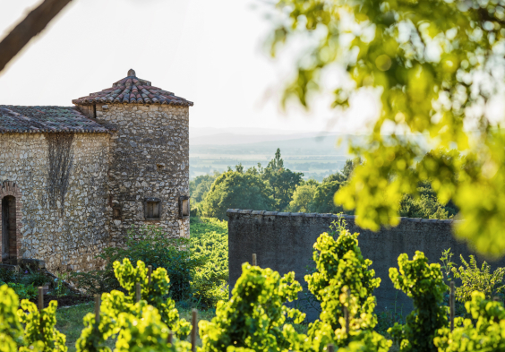Perrin picture Domaine du Clos de Tourelles 1