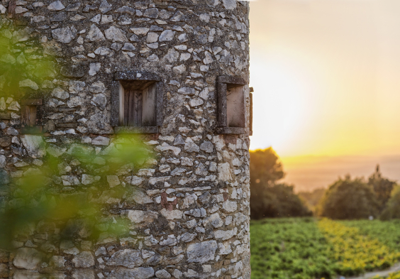Perrin picture Domaine du Clos de Tourelles 2