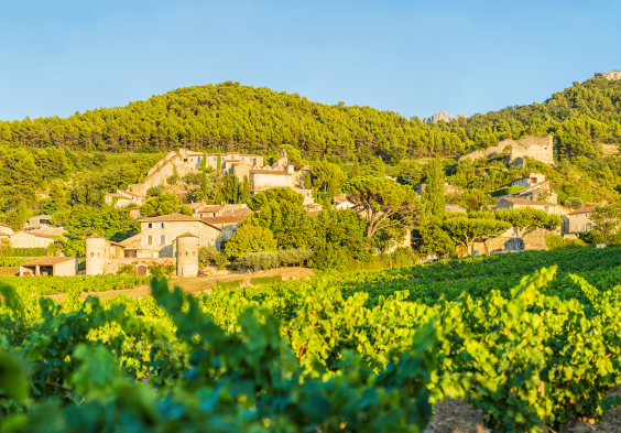 Perrin picture Paysage du Clos de Tourelles