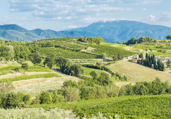 Perrin picture Vinsobres ©Philippe Martineau