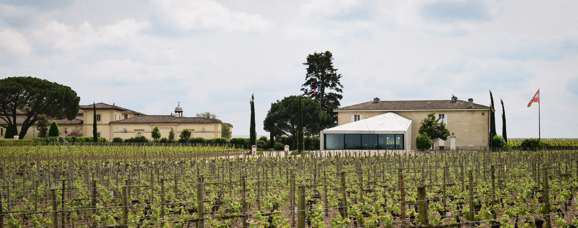 Weinberge vor einem eleganten Gutshaus mit mediterranen Bäumen und Wolkenhimmel.