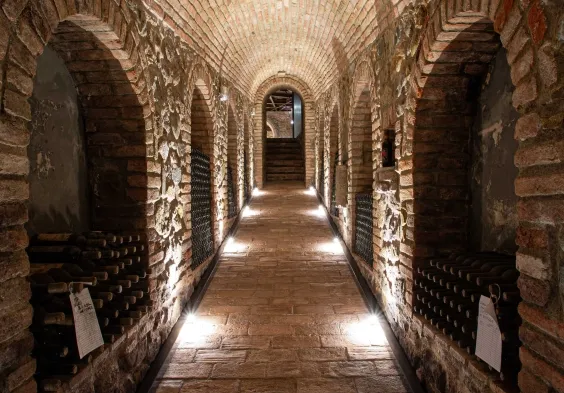 Pieve Santa Restituta Cellar