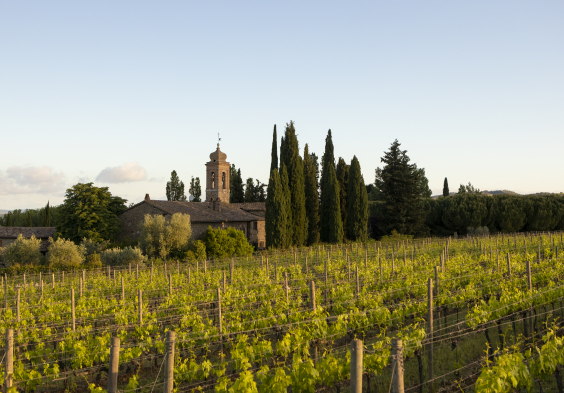 Pieve Santa Restituta Landscape (1)