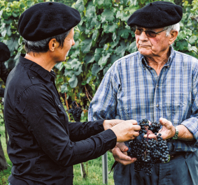 Zwei Männer in Weinberg, beide mit Baskenmützen, halten und untersuchen Weintrauben.
