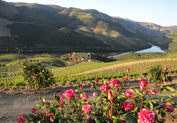 Prats and Symington (3)