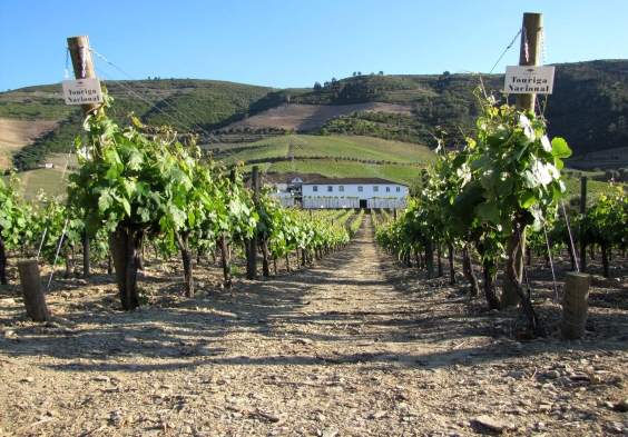 Prats and Symington (4)