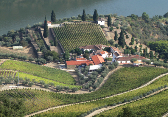 Prats and Symington (5)