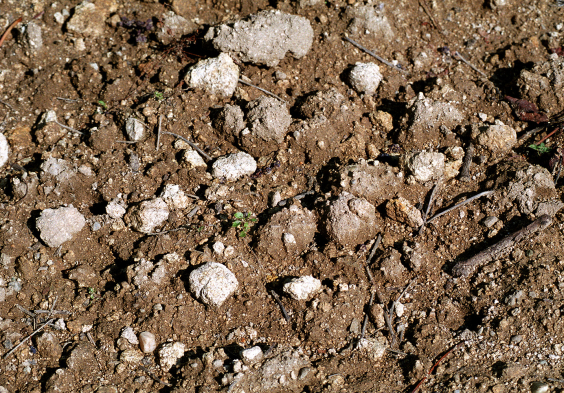 Prieler marienthal terroir