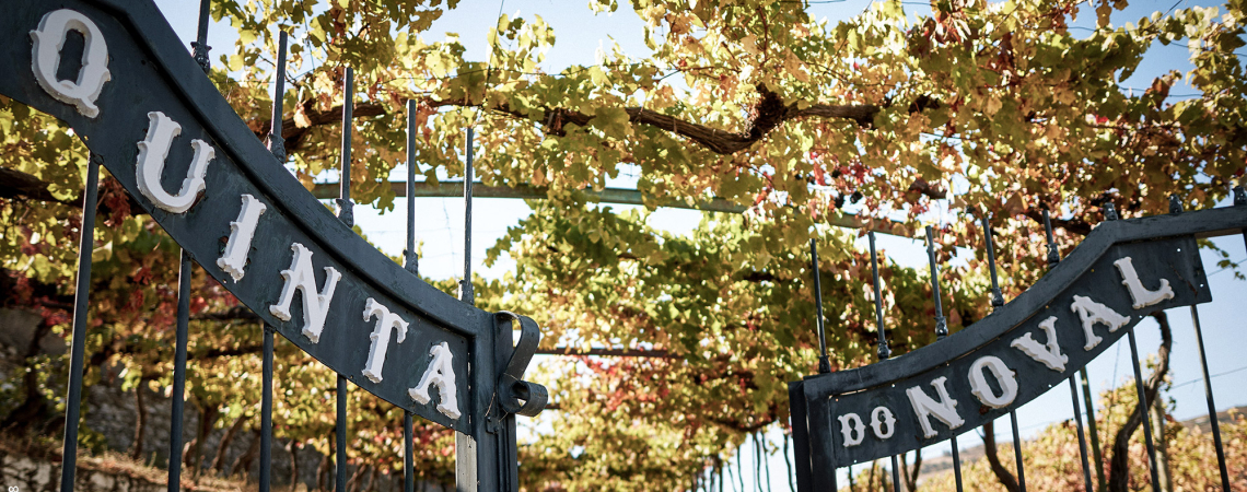 Eisentor mit Schriftzug, dahinter Weinreben unter blauem Himmel.