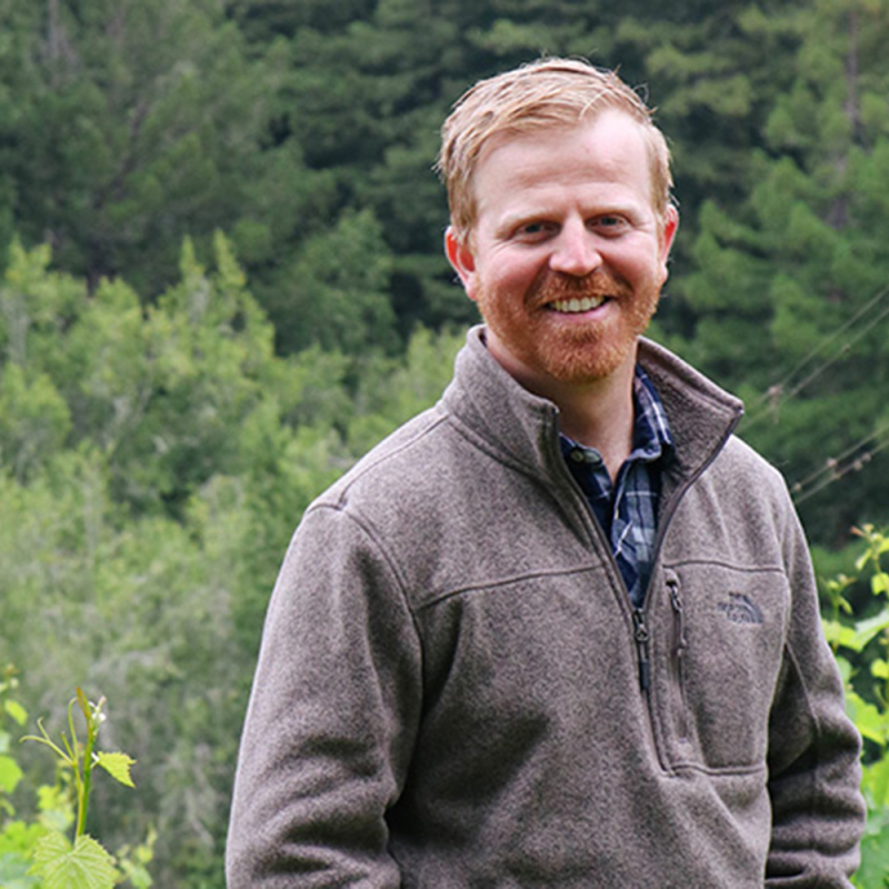 Red Car Tanner sheer