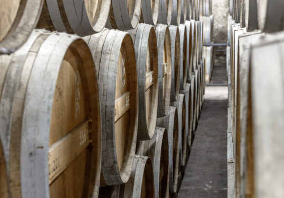 Remy Martin Photo 151113 129 leroy