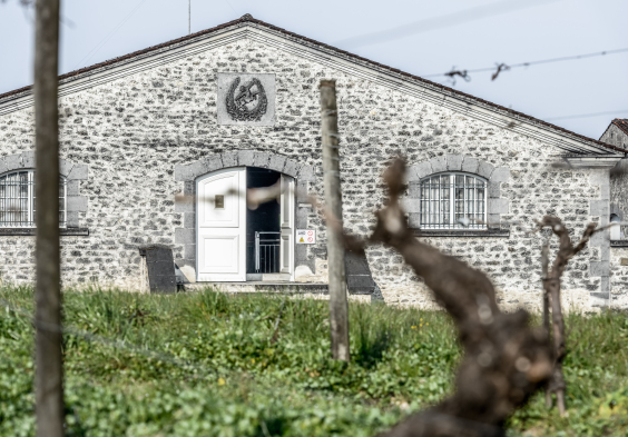 Remy Martin Photo 160324 005 merpins v2