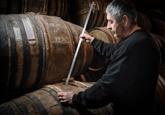 Remy Martin Photo 160324 024 merpins