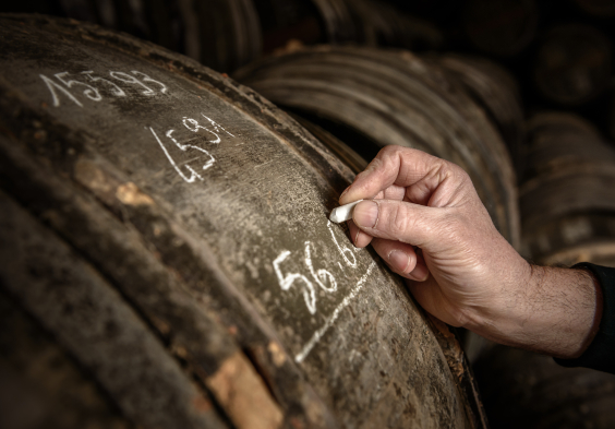 Remy Martin Photo 160324 059 merpins