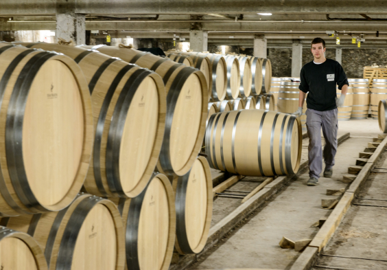 Remy Martin Photo 160324 078 merpins