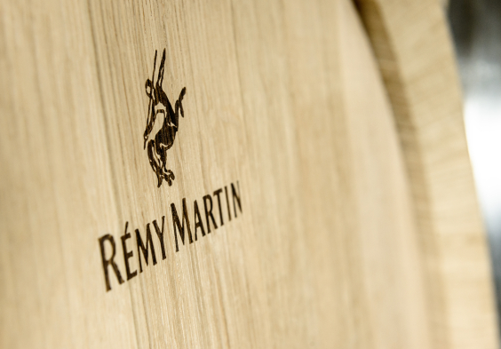 Remy Martin Photo 160324 084 merpins v2