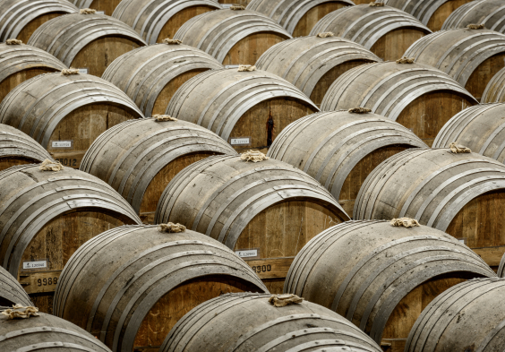 Remy Martin Photo 161006 154 merpins