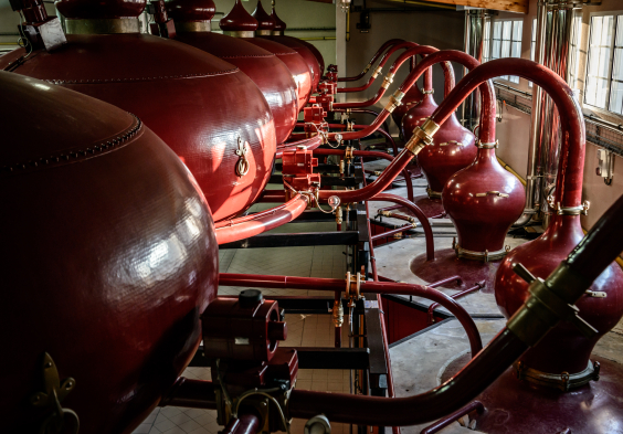 Remy Martin Photo Distillation 11