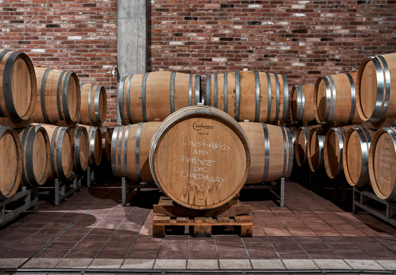 Romano Dogliotti 2022 Fass