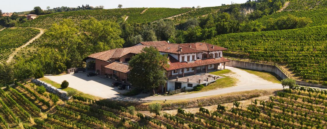 Backstein-Haus umgeben von grünen Weinbergen in hügeliger Landschaft.