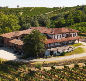 Backstein-Haus umgeben von grünen Weinbergen in hügeliger Landschaft.