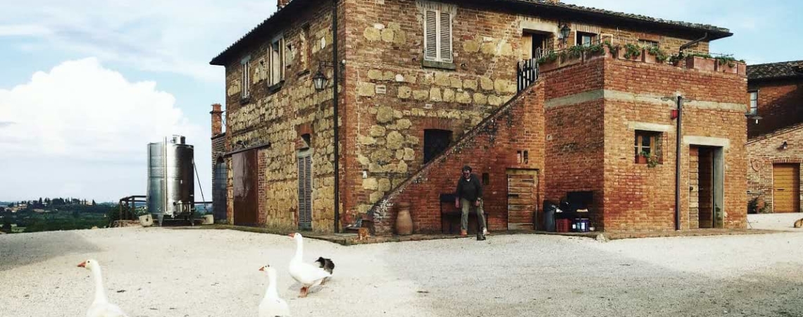 Steinhaus auf ländlichem Hof mit Gänsen im Vordergrund und blassem Himmel.