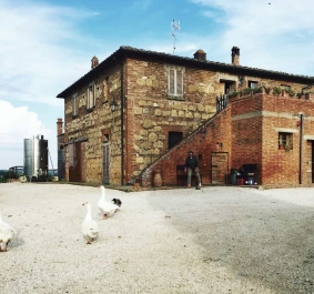 Steinhaus auf ländlichem Hof mit Gänsen im Vordergrund und blassem Himmel.