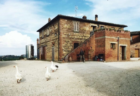 Steinhaus auf ländlichem Hof mit Gänsen im Vordergrund und blassem Himmel.