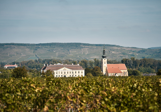 Schloss schloss gobelsburg