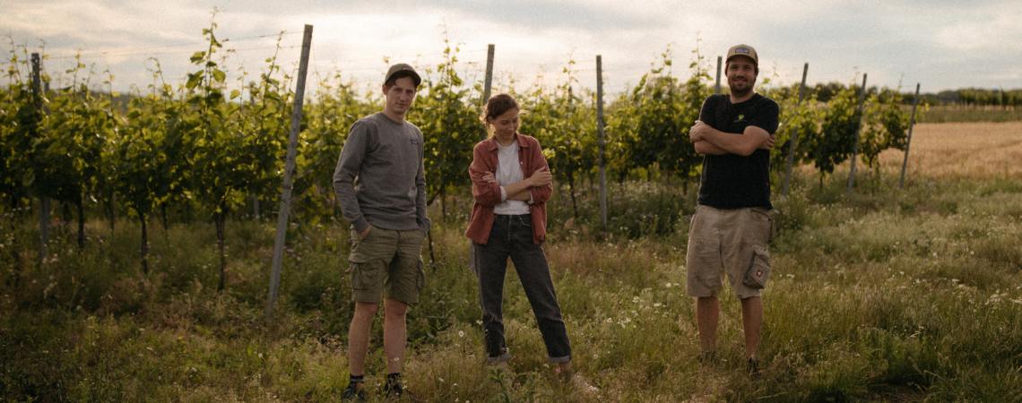 Drei Personen stehen in einem sonnigen Weinberg unter bewölktem Himmel.