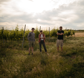 Drei Personen stehen in einem sonnigen Weinberg unter bewölktem Himmel.