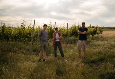 Drei Personen stehen in einem sonnigen Weinberg unter bewölktem Himmel.