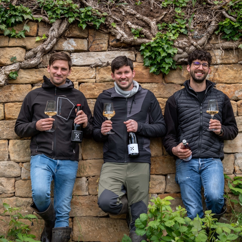 Seckinger Jonas, Lukas und Philipp